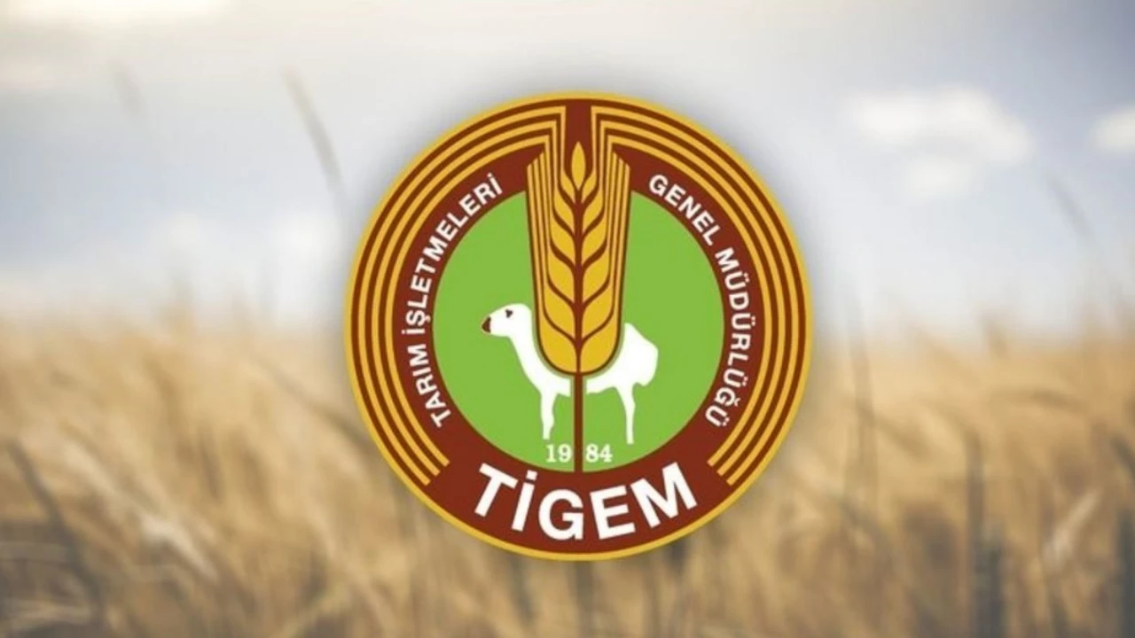 TİGEM 306 İşçi Personel Alımı İlanı 2025 Şartları